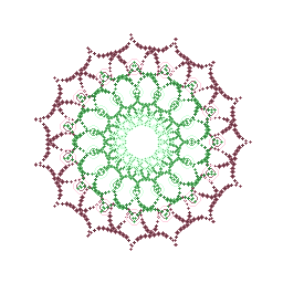 Test User 19's avatar