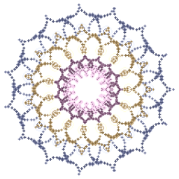 Test Circle